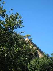 20081019ColdCreekHighTrail004.jpg