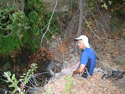 20081019ColdCreekHighTrail030.jpg