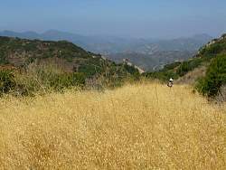 IMG_0398.jpg