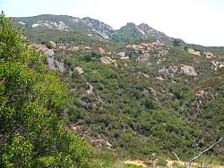 IMG_0431.jpg