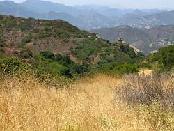IMG_0432.jpg