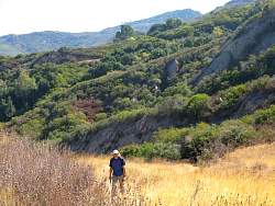 IMG_1675.jpg