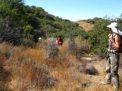 IMG_1677.jpg
