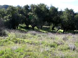 IMG_2197.jpg