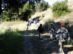 IMG_2201.jpg