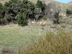 IMG_2203.jpg