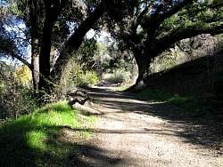 IMG_2205.jpg