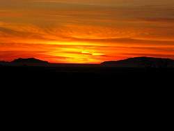 IMG_2217.jpg