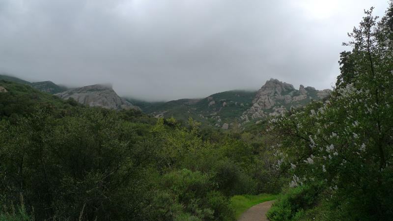 rd_P1070206_.jpg