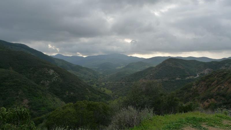 rd_P1070223_.jpg