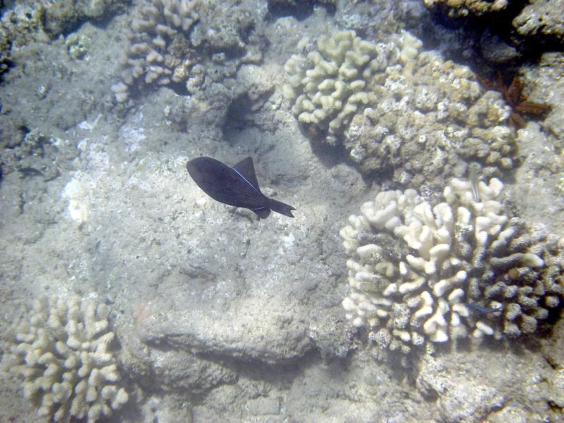 IMGP1787.jpg