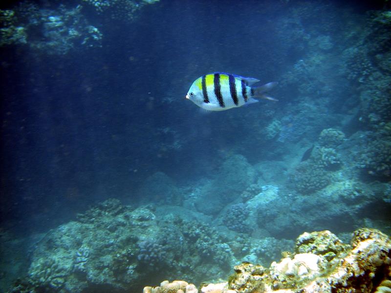 IMGP1823.jpg