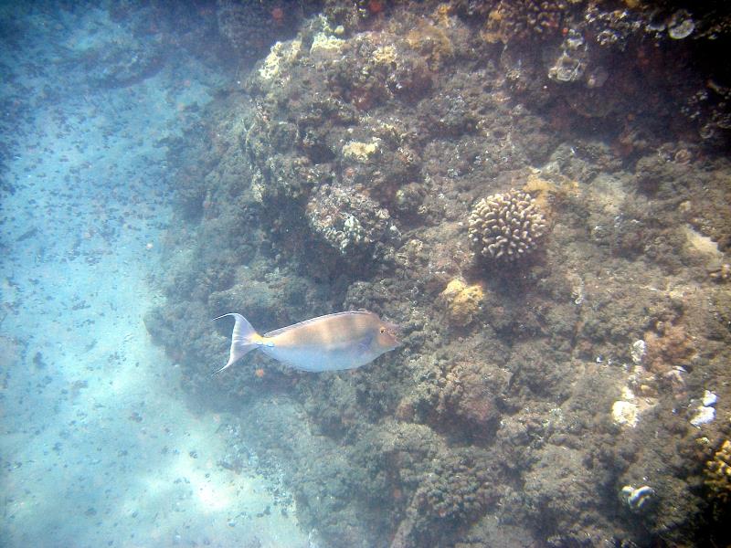 IMGP1828.jpg