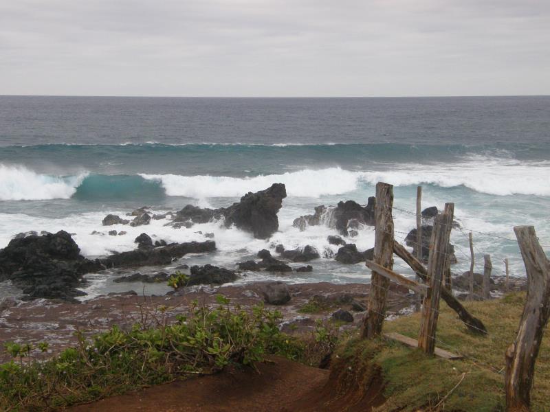 P4220226.jpg