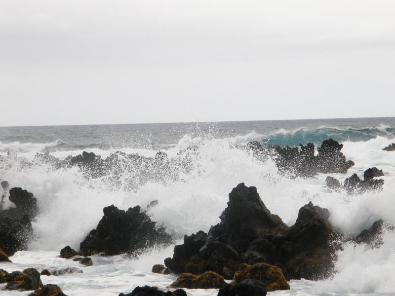 P4230288.jpg