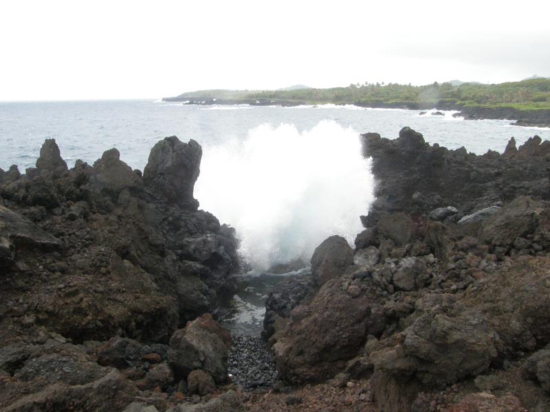 P4230330.jpg