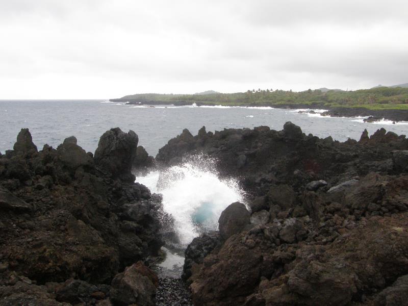 P4230331.jpg