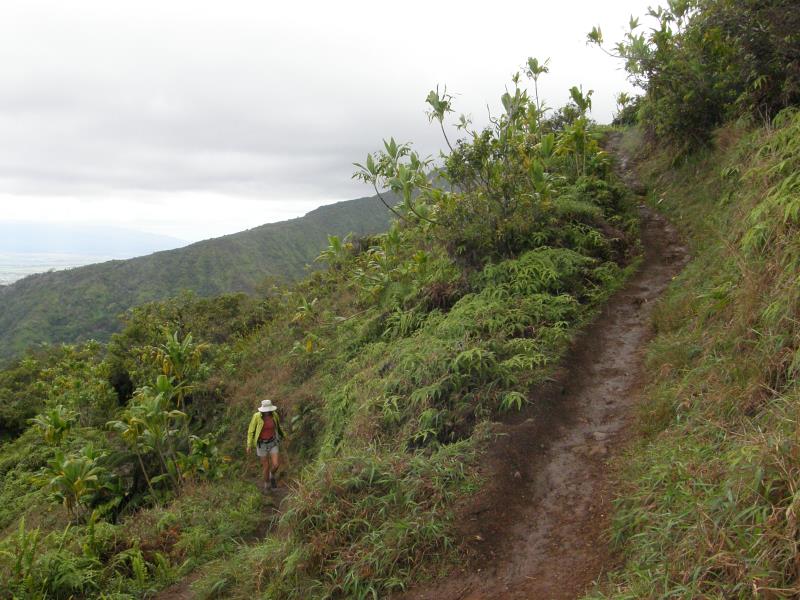 P4260114.jpg