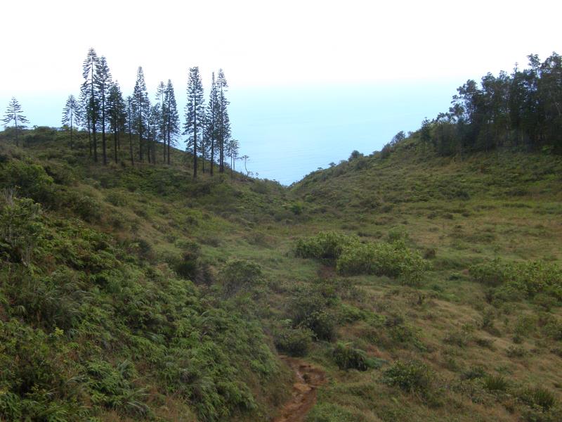 P4260127.jpg
