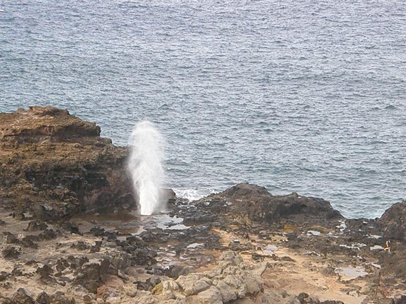 P4260221.jpg