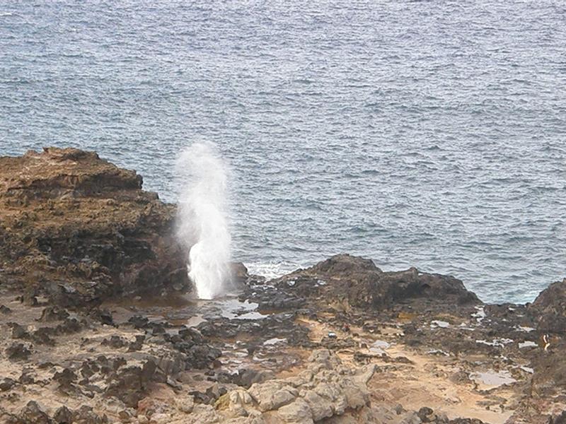 P4260223.jpg