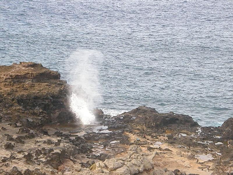 P4260228.jpg