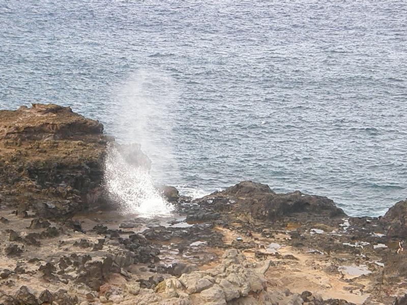 P4260232.jpg