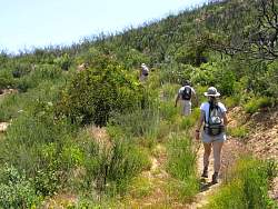 IMG_3285.jpg