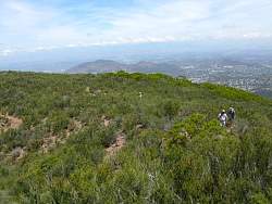 IMG_3633.jpg