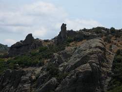 IMG_3634.jpg