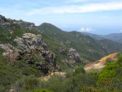 IMG_3643.jpg