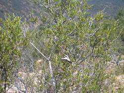 hike040.jpg