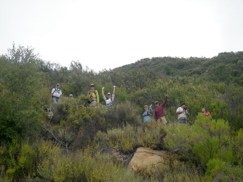 IMGP2221.jpg