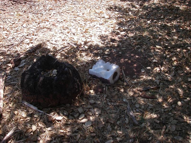 IMGP2518.jpg