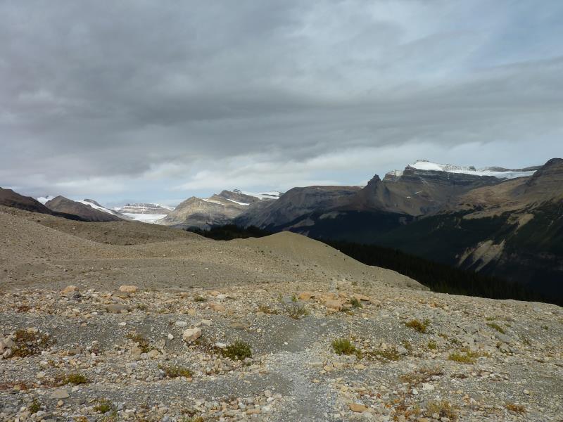 P1000499.jpg