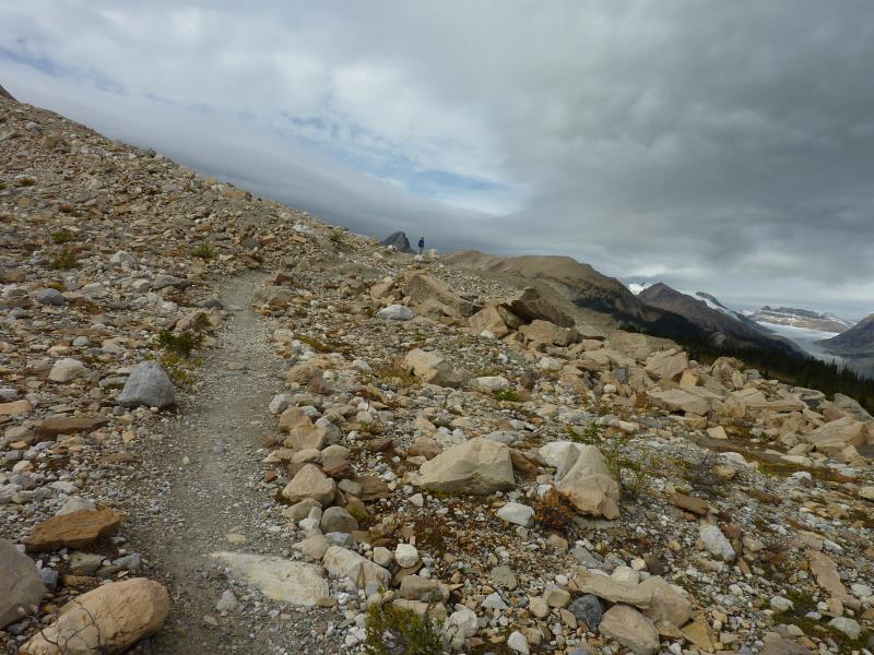 P1000520.jpg
