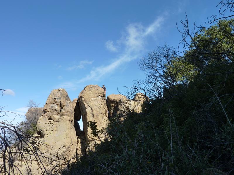 P1010202.jpg