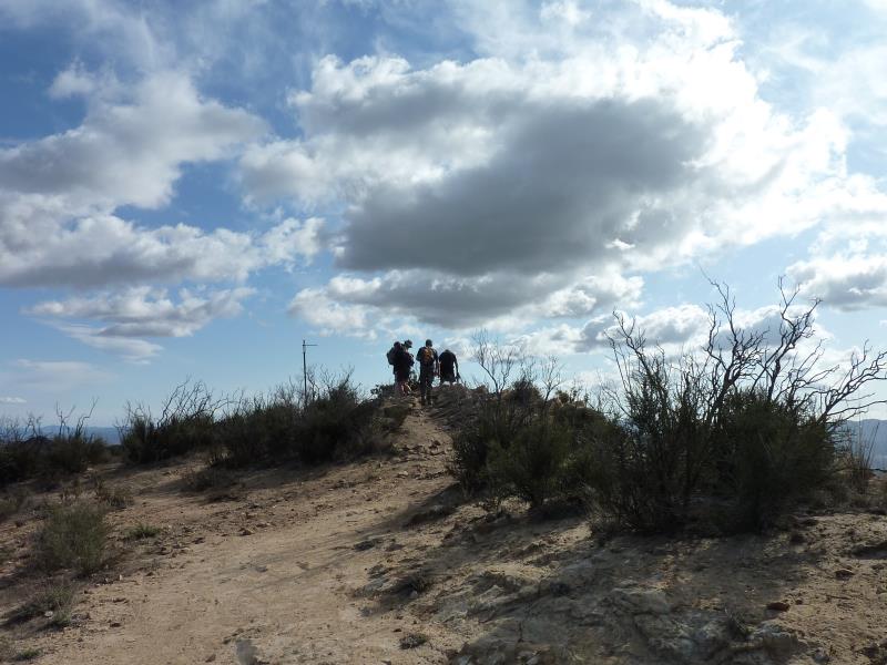 P1010216.jpg