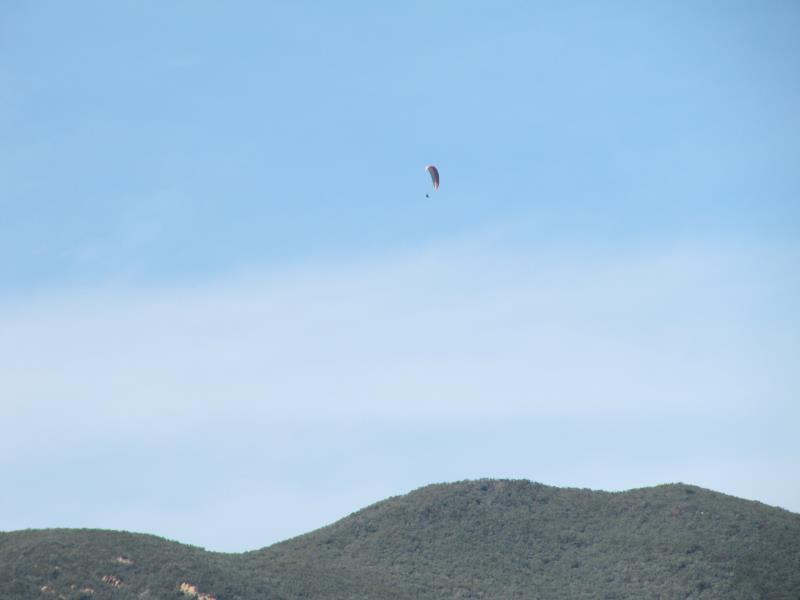IMG_6853.jpg
