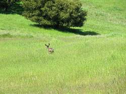 IMG_7726.jpg