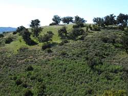 IMG_3627.jpg