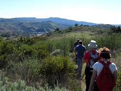 IMG_3629.jpg