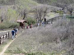 IMG_3649.jpg