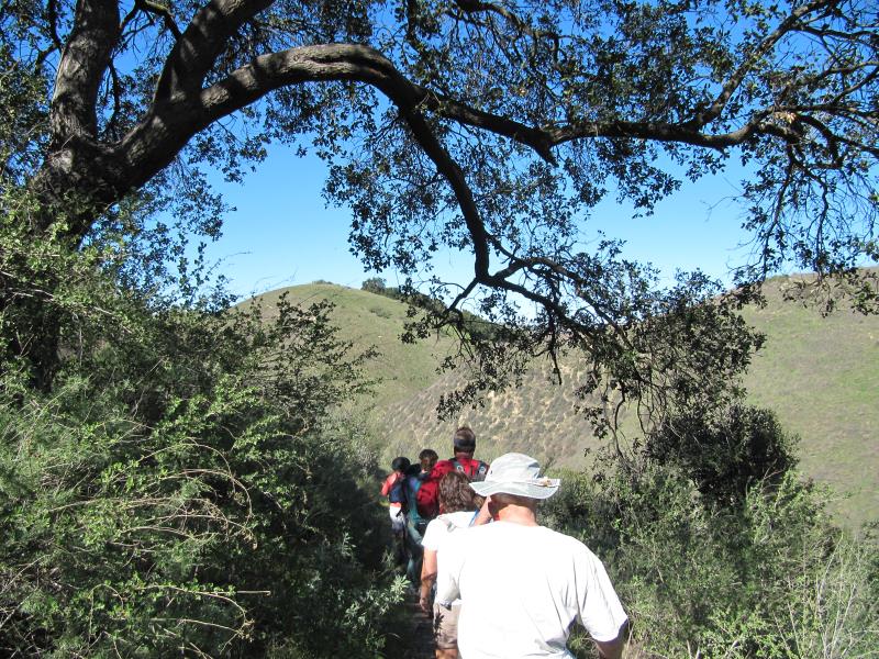IMG_3675.jpg