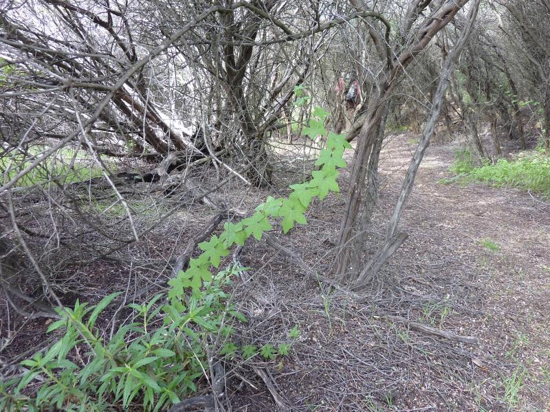 P1060303.jpg