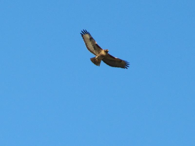 IMG_3900.jpg