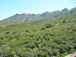 IMG_5076.jpg