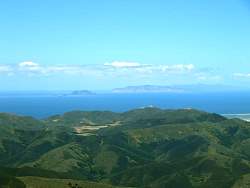 IMG_5231.jpg