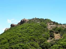 IMG_5240.jpg