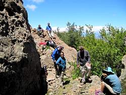 IMG_5250.jpg